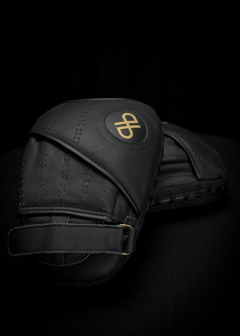 Budo Focus Mitts