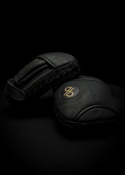 Budo Focus Mitts