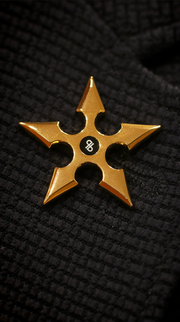 BB Star Pin